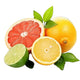 Citrus Fruits FLAVOR